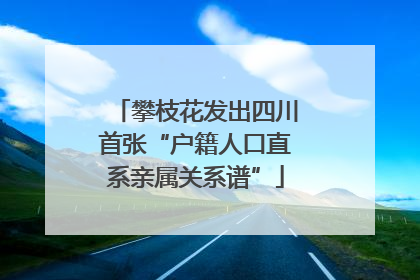 攀枝花发出四川首张“户籍人口直系亲属关系谱”